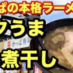 【かっぱ寿司】の「コクうま鬼煮干しラーメン」食べて来た（期間限定）